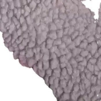 2023 Μέση έως τέλος Εργοστάσια Παραγγείλετε Polyester Particle Lamb Wool για επένδυση σε πολυτελές στυλ