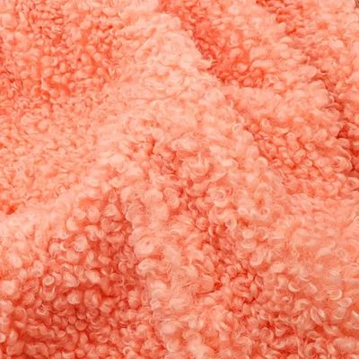 Γυναικείο παλτό 300GSM Teddy Fleece υφάσματα μαλακό κέλυφος Custom Color 100% Polyester δωρεάν δείγματα