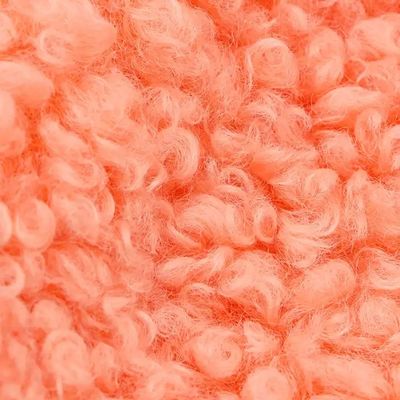Γυναικείο παλτό 300GSM Teddy Fleece υφάσματα μαλακό κέλυφος Custom Color 100% Polyester δωρεάν δείγματα