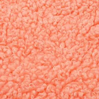 Γυναικείο παλτό 300GSM Teddy Fleece υφάσματα μαλακό κέλυφος Custom Color 100% Polyester δωρεάν δείγματα